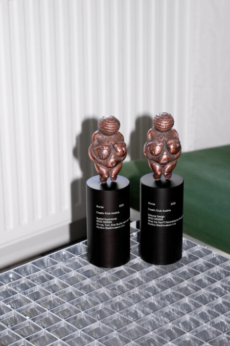 CCA Venus Award Bronze für die Ausstellung "It's Me, Toni" und die Publikation "WTF*?"